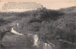 France Haute Vienne Environs De Limoges Ruines Du Chateau De Chalusset(SCAN RECTO VERSO) NONO0054 - Limoges