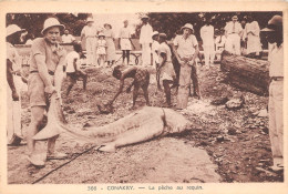 Guinee Conakry La Peche Au Requin(scan Recto Verso ) Nono0050 - Guinée