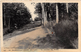 Le Chambon Sur Lignon Un Sous Bois Aux Airelles( Scan Recto Verso ) Nono0028 - Le Chambon-sur-Lignon