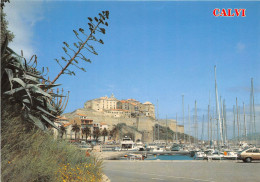 CORSE Ile De L Amour CALVI Vue Sur Le Port Et La Citadelle(SCAN RECTO VERSO)NONO0088 - Calvi