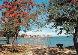 GUADELOUPE L Autre Bord A Moule (SCAN RECTO VERSO)NONO0086 - Saint Barthelemy