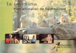 Lorraine Parc Animalier De Sainte Croix (SCAN RECTO VERSO)NONO0076 - Lorraine