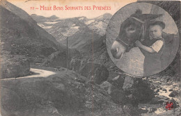 MILLES BONS SOUHAITS DES PYRENEES(SCAN RECTO VERSO)NONO0073 - Other & Unclassified