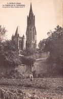 SENLIS La Fleche De La Cathedrale Vue Prise Du Vieux Chateau Henri IV(SCAN RECTO VERSO)NONO0072 - Senlis