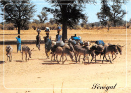 SENEGAL  Couleurs Du Senegal(SCAN RECTO VERSO)NONO0059 - Sénégal