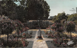 DIJON   Jardin Botanique De L'Arquebuse  61 (scan Recto Verso)nono0102 - Dijon