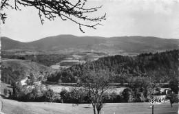 Valle De La DORE Du Perrier Entre VERTOLAYE Et AMBERT(SCAN RECTO VERSO)NONO0093 - Olliergues