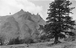 LE MONT DORE SANCY Les Aiguilles Du Sancy Et Le Teleferique(SCAN RECTO VERSO)NONO0093 - Le Mont Dore