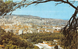 ALGER Vue Generale (SCAN RECTO VERSO)NONO0088 - Algerien