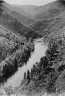 48 PRADES Les Rives Du Tarn  20 (scan Recto Verso)nono0115 - Gorges Du Tarn