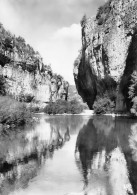 48 LA MALENE  Gorges Du Tarn Les Détroits   10 (scan Recto Verso)nono0115 - Andere & Zonder Classificatie