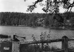 LAC DE MALAGUET Le Nouveau Chalet  32 (scan Recto Verso)nono0114 - Andere & Zonder Classificatie