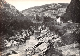 SAINT GUILHEM LE DESERT  Les Gorges De L' Herault La Promenade Des Platanes  52 (scan Recto Verso)nono0109 - Autres & Non Classés