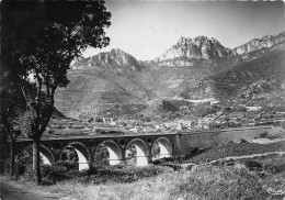 LODEVE Pont Et Village De Pégairolles  15 (scan Recto Verso)nono0109 - Lodeve