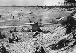 AGDE   La Plage De La Tamarissière  60 (scan Recto Verso)nono0108 - Agde