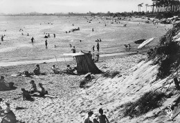 AGDE   La Plage De La Tamarissière  61 (scan Recto Verso)nono0108 - Agde