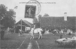 41 La Ferté-Beauharnais   La Ferme Des îles  68 (scan Recto Verso)nono0124 - Autres & Non Classés