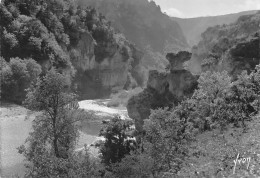 48 Rocher Du Champignon A La Malene  28 (scan Recto Verso)nono0122 - Gorges Du Tarn