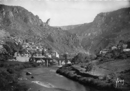 48 LES VIGNES Gorges Du Tarn Vue Générale  17 (scan Recto Verso)nono0122 - Gorges Du Tarn