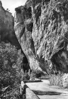 48  Gorges Du Tarn Cirque Des BAUMES L'encorbeillement  37 (scan Recto Verso)nono0122 - Gorges Du Tarn