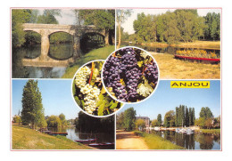 49  ANGERS L' Anjou 38 (scan Recto Verso)nono0121 - Angers