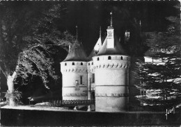 CHAUMONT SUR LOIRE Le Chateau  15 (scan Recto Verso)nono0118 - Autres & Non Classés