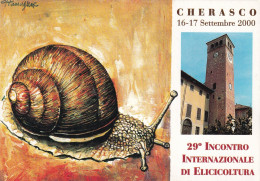 Cherasco 29º Incontro Elicicoltura - Sonstige & Ohne Zuordnung