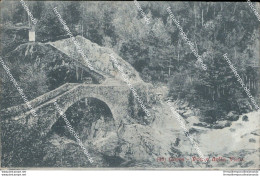 Bg423 Cartolina Ceres Ponte Della Vana Provincia Di Torino - Altri & Non Classificati