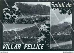 Bb214  Cartolina Saluti Da Villar Pellice Torino Piemonte - Otros & Sin Clasificación