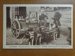 Antwerpen - Anvers: Vlaamsche Melkboerin Met Hondenspan (hond, Dog, Chien) -> Beschreven 1913 - Antwerpen