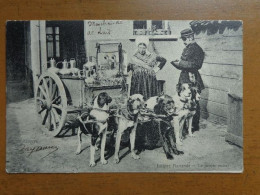 Antwerpen - Anvers: Laitière Flamande, Le Proces Verbal (hond, Dog, Chien) -> Beschreven 1903 - Antwerpen