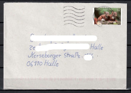 MiNr. 3129; Tierbabys: Eichhörnchen, Auf Portoger. Brief Von BZ 58 Nach Halle; B-1216 - Storia Postale