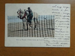 België - Belgique / Sur La Plage, Conducteur De Cabines (paard, Horse, Cheval) -> 1902 - Otros & Sin Clasificación