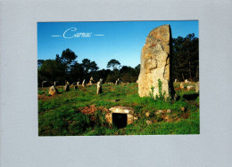 Carnac (56) : Le Tertre Du Manio - Dolmen & Menhire