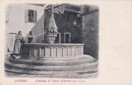 Viterbo Fontana Di Piano Scarano XIV Secolo - Viterbo