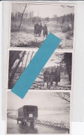 FORET DE RANZEY 1940  LOT DE 3 PHOTOS  6 X 8.5 CM - Other & Unclassified