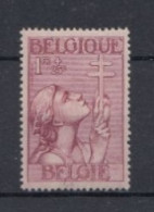 Belge N 381 Neufs Avec Charnière * - Unused Stamps