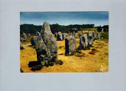 Carnac (56) : Les Alignements Du Ménec - Dolmen & Menhirs