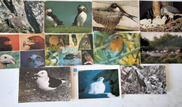 Dèstockage - Birds Lot Of 22 Postcards.#47. - Vögel