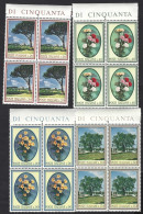 Italia 1966; Flora I° Serie: Pino, Garofani, Margherite, Olivo, Serie Completa In Quartine Di Bordo Superiore. - 1961-70:  Nuevos