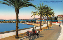 R060377 Cannes. Promenade De La Croisette. Rostan And Munier. No 567 - Monde