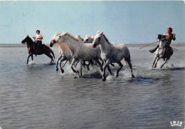 21 Cartes De Camargue Saintes Marie De La Mer Etc (scan Recto-verso) OO 0923 - Saintes Maries De La Mer