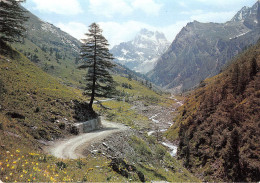 Vallee Du Haut Guil Et Mont VISO  29 (scan Recto-verso) OO 0907 - Serre Chevalier