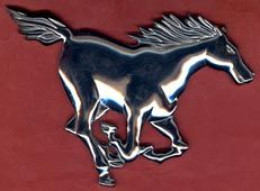 ** APPLIQUE  CHEVAL ** - Horses