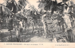 GUINEE Francaise  Un Regime De Bananes  (scan Recto-verso) OO 0963 - Französisch-Guinea