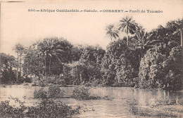 Guinée Française  Conakry  Foret De Toumbo (scan Recto-verso) OO 0955 - Französisch-Guinea