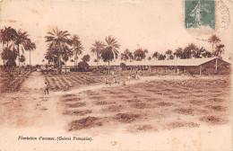 Guinée Française  Conakry   Plantation D'Ananas  (scan Recto-verso) OO 0955 - Frans Guinee