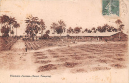 Guinée Française  Conakry   Plantation D'Ananas  (scan Recto-verso) OO 0955 - French Guinea