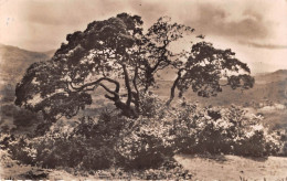 Guinée Française  CONAKRY Dans Les Environs De Conakry Carte Rare (scan Recto-verso) OO 0956 - Guinea Francesa