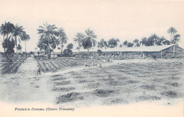 GUINEE Francaise EXPLOITATION AGRICOLE  Une Plantation D'ANANAS Ferme (scan Recto-verso) OO 0950 - Guinée Française